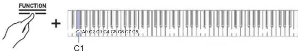 CASIO Celviano AP-S190 - IMPORTANT! - 2