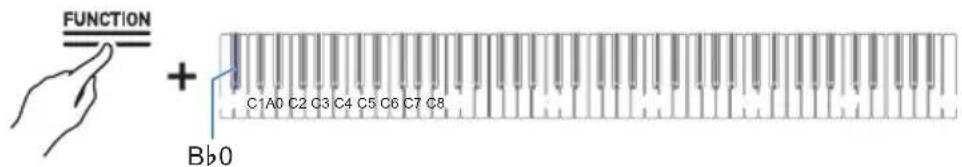 CASIO Celviano AP-S190 - Extinction automatique - 1