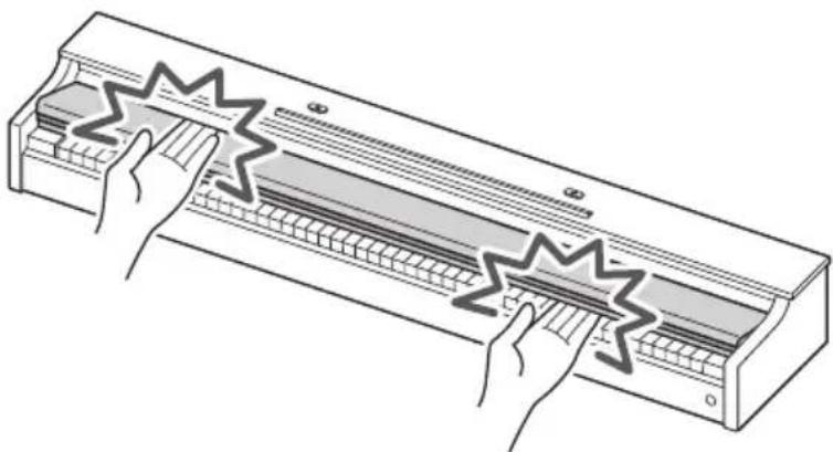 CASIO Celviano AP-S190 - IMPORTANT! - 1