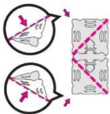 Thames & Kosmos Creatto: Soaring Dragon & Flying Friends - 10
