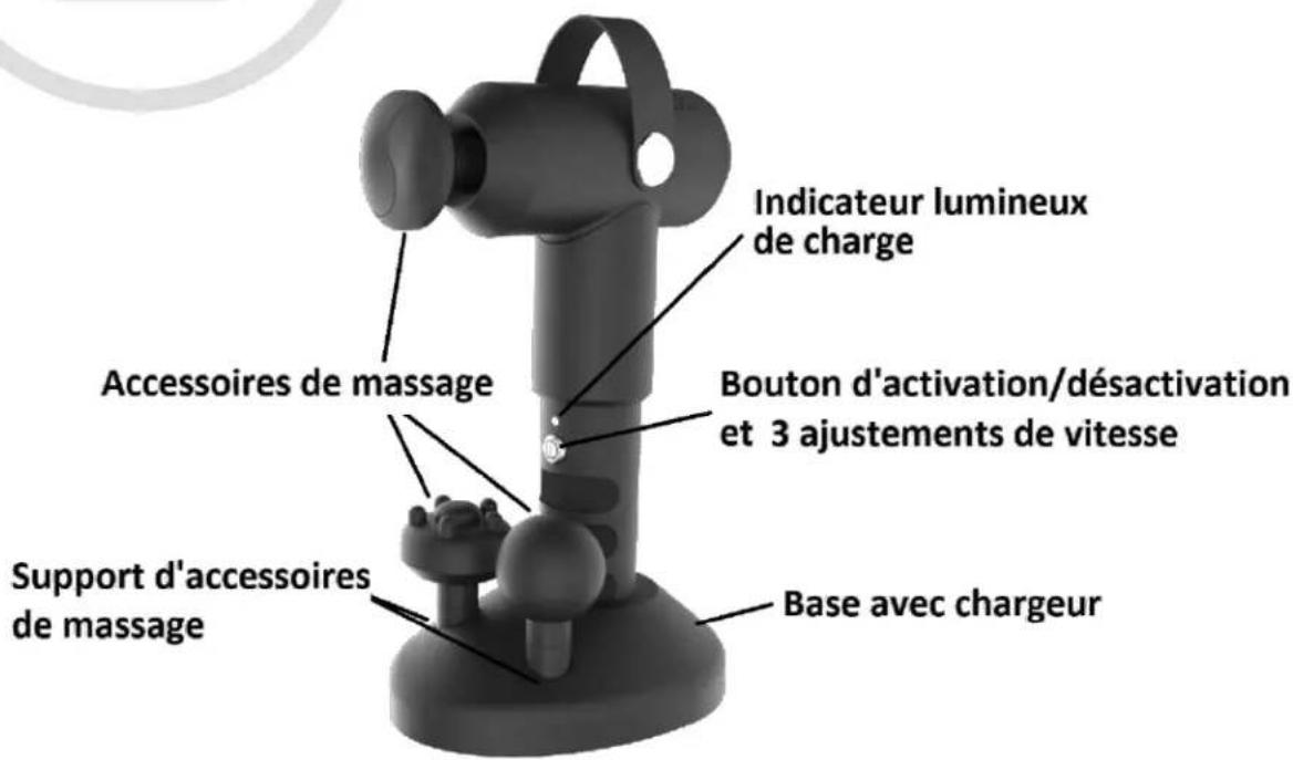 WESTINGHOUSE WES42-0917 - Composantes - 1