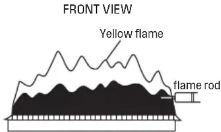 WESTINGHOUSE HW120A1G-LP - Visual Inspection of Flame - 2