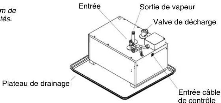 KOHLER Fast-Response K-1713 - Déterminerl'emplacementdugénérateurdevapeur - 1