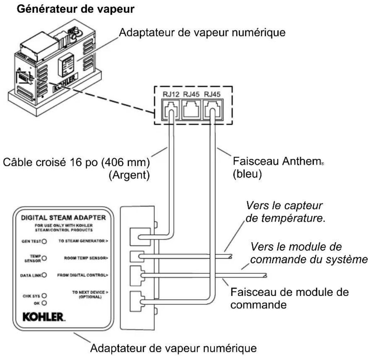 KOHLER Invigoration K-32311 - Installer l'adaptateur de vapeur numérique - Tête de vapeur unique - 1