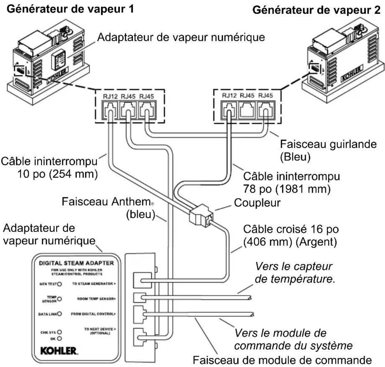KOHLER Invigoration K-32311 - Installer l'adaptateur de vapeur numérique - Deux têtes de diffusion de vapeur - 1