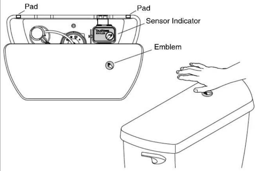 KOHLER Cimarron K-6418 - Check Operation - 1