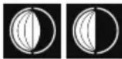 BRESSER ClimateTemp NDV-NEO - Mondphase - 2