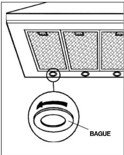 BAGUE