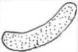PowerPlus POWAIR0105 - CONSERVAZIONE - 2