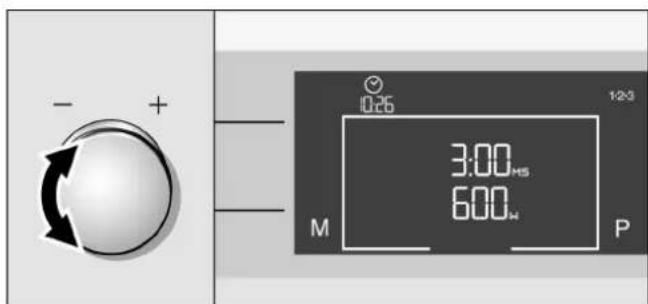 GAGGENAU BM220100 - Şusekildeayarlanir - 2