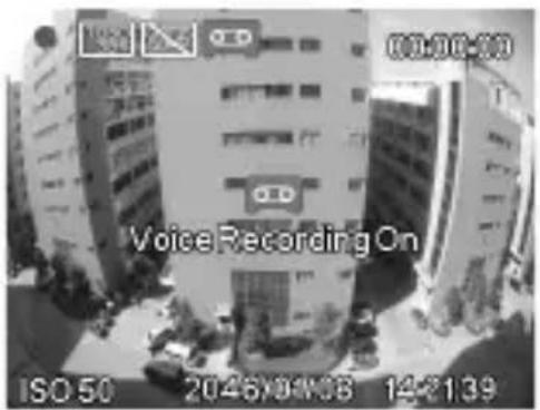 ISO 50 2046/09/08 14:2139 Voice Recording On
