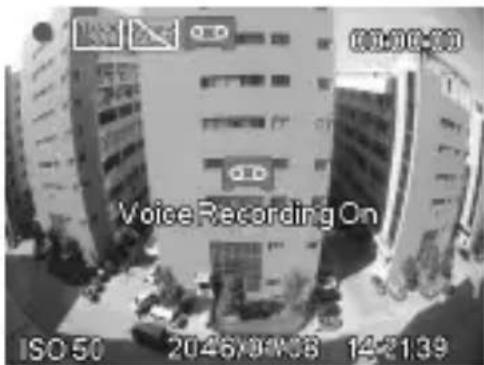 Voice Recording On ISO 50 2046/01/08 14:21:39