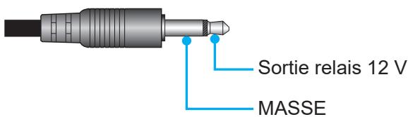 Sortie relais 12 V MASSE