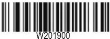W201900