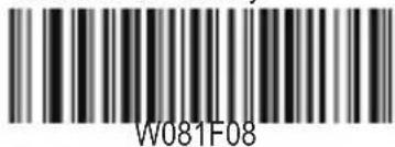 W081F08