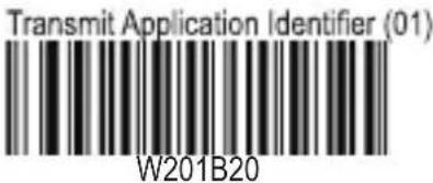 Transmit Application Identifier (01) W201B20