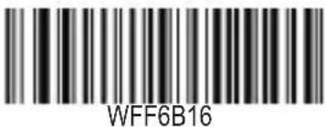 WFF6B16