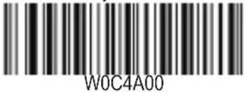 W0C4A00