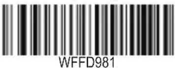 WFFD981
