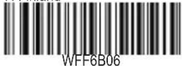 WFF6B06