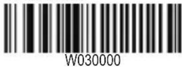 W030000