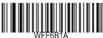 WFF6B1A