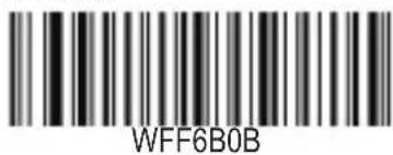 WFF6B0B