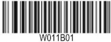 W011B01
