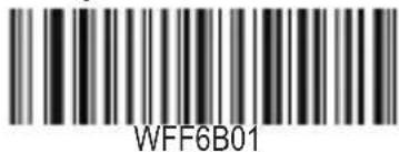 WFF6B01