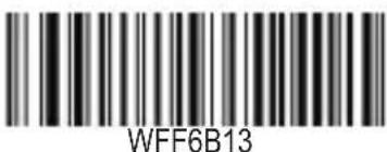 WFF6B13