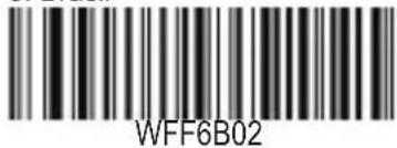 WFF6B02