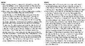 Scanned text of a formal document with two columns of Chinese characters, likely from an official or legal document.