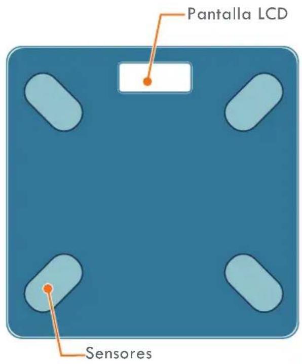 Pantalla LCD Sensores