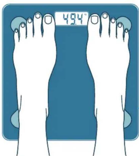 49.4°