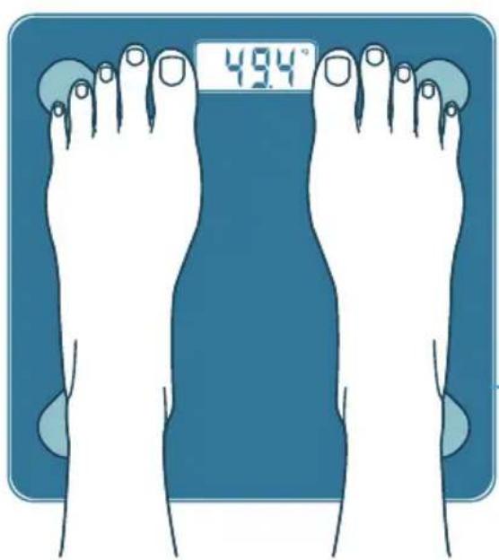 49.4°
