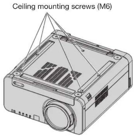 Ceiling mounting screws (M6)