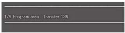 1/9 Program area : Transfer 13%