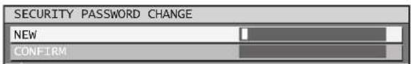 SECURITY PASSWORD CHANGE NEW CONFIRM