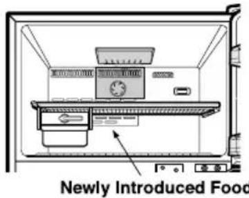 Newly Introduced Food