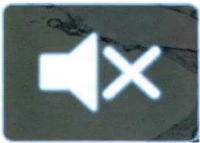 INFINITY KAPPRV515 - MUTE Control - 1