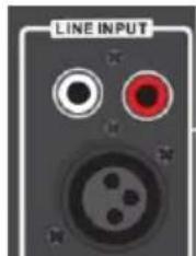 BLAUPUNKT PA1500PRO - Line-in/AUX/MP3 sujungimo valdymas - 1