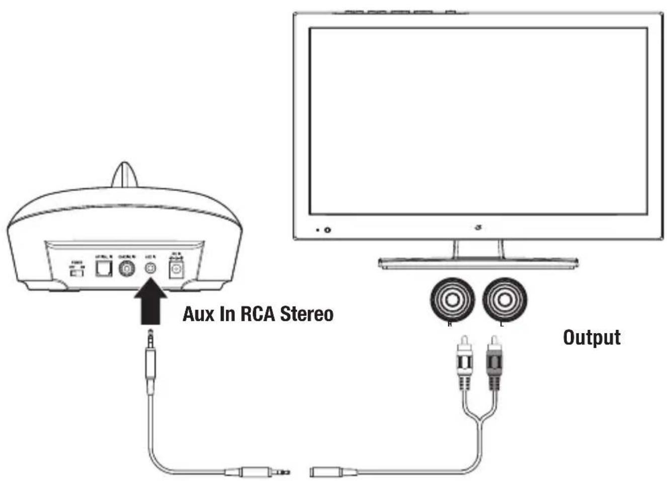 Aux In RCA Stereo Output