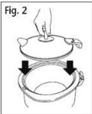 Fig. 2