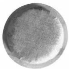 GEMINI GCM135 - 放置意式濃縮咖啡簡易咖啡包(E.S.E pod) - 1