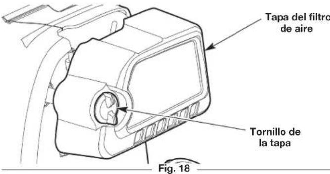 Tapa del filtro de aire Tornillo de la tapa Fig. 18