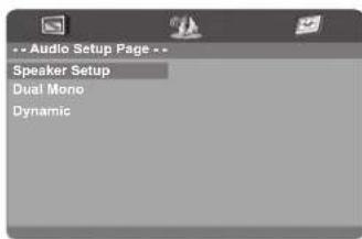 Audio Setup Page Speaker Setup Dual Mono Dynamic