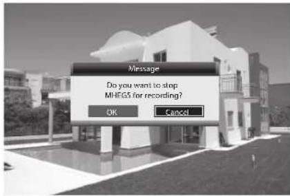 Message Do you want to stop MHEGS for recording? OK Cancel