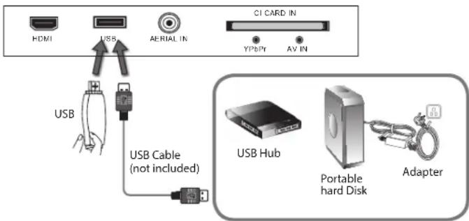 HDMI USB AERIAL IN CI CARD IN YPBIPY AV IN USB USB Cable (not included) USB Hub Portable hard Disk Adapter