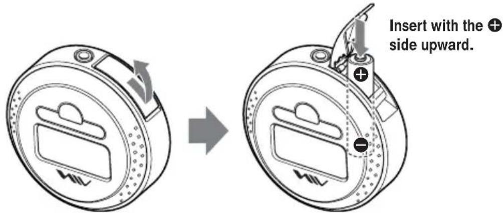 Insert with the + side upward.