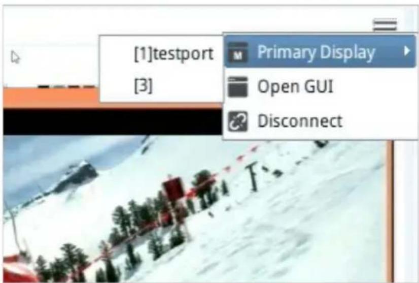 [1]testport [3] Primary Display Open GUI Disconnect